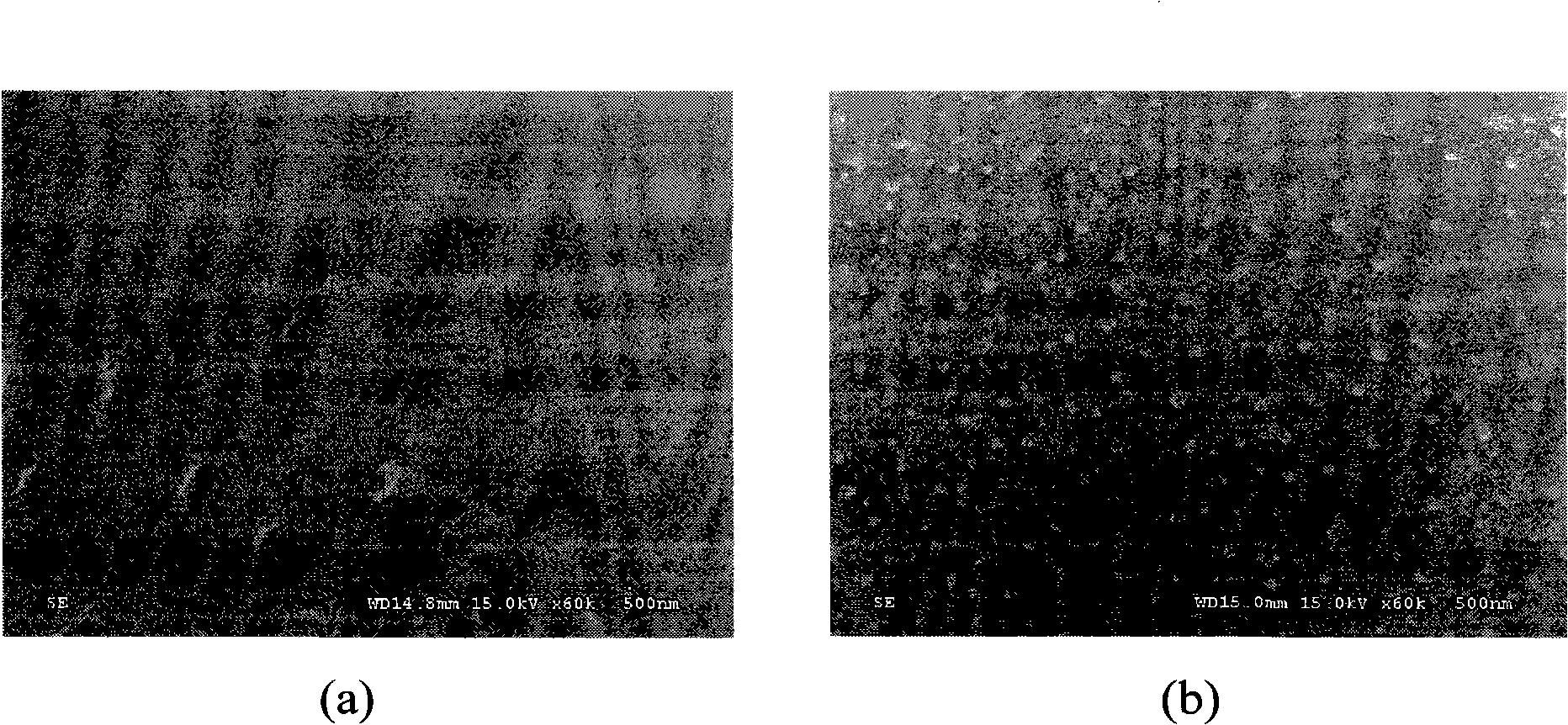 Inorganic sheet composite material with surface having double property and preparation thereof