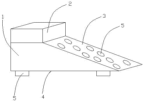 Dryer inside shoe