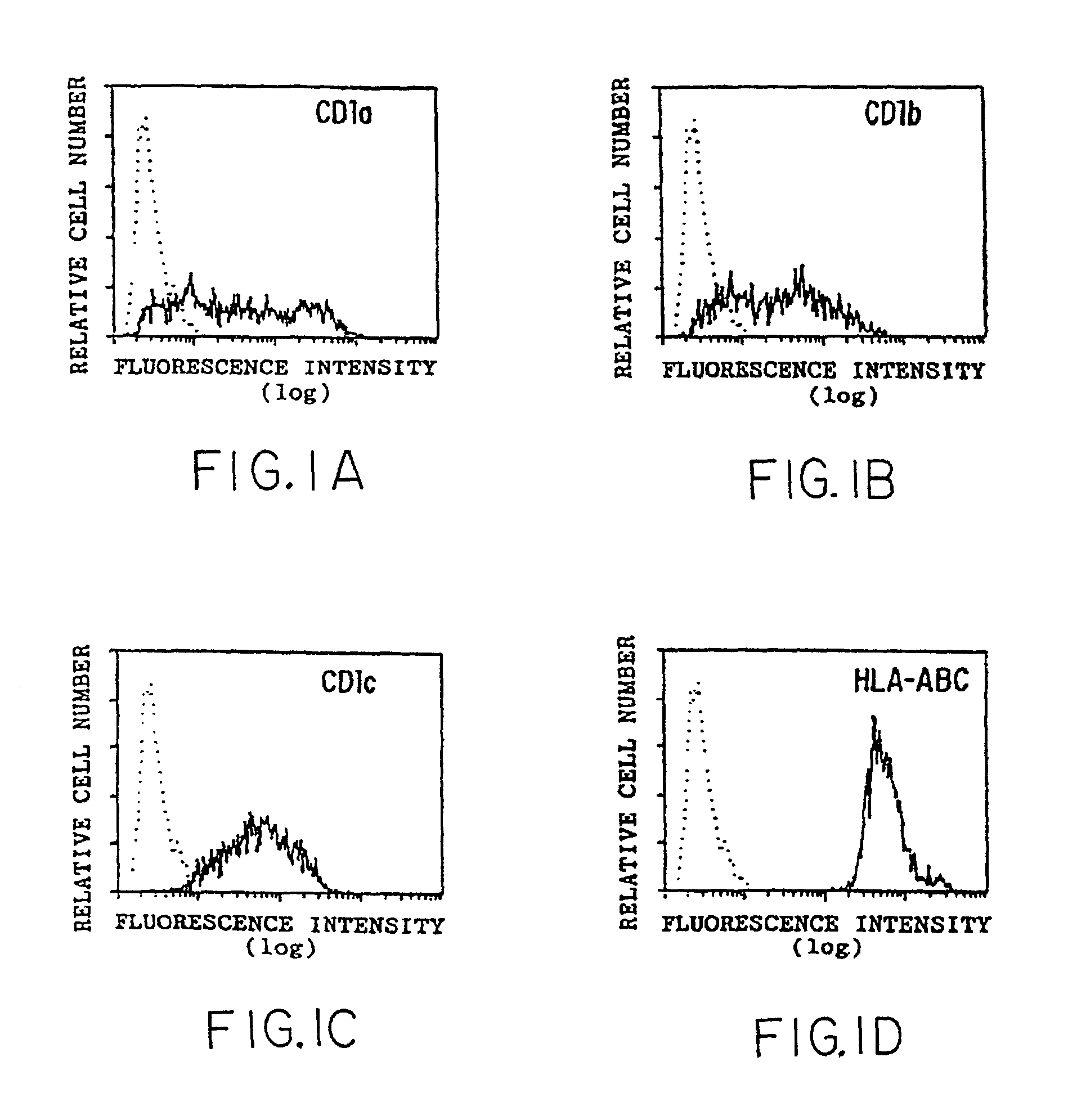 Presentation of hydrophobic antigens to T-cells by CD1 molecules