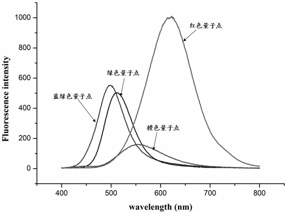 Non-toxic quantum dot with controllable particle size and preparation method thereof