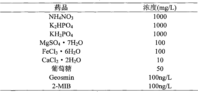System and method for removing natural organic substances and odor-induced substances in micro polluted water