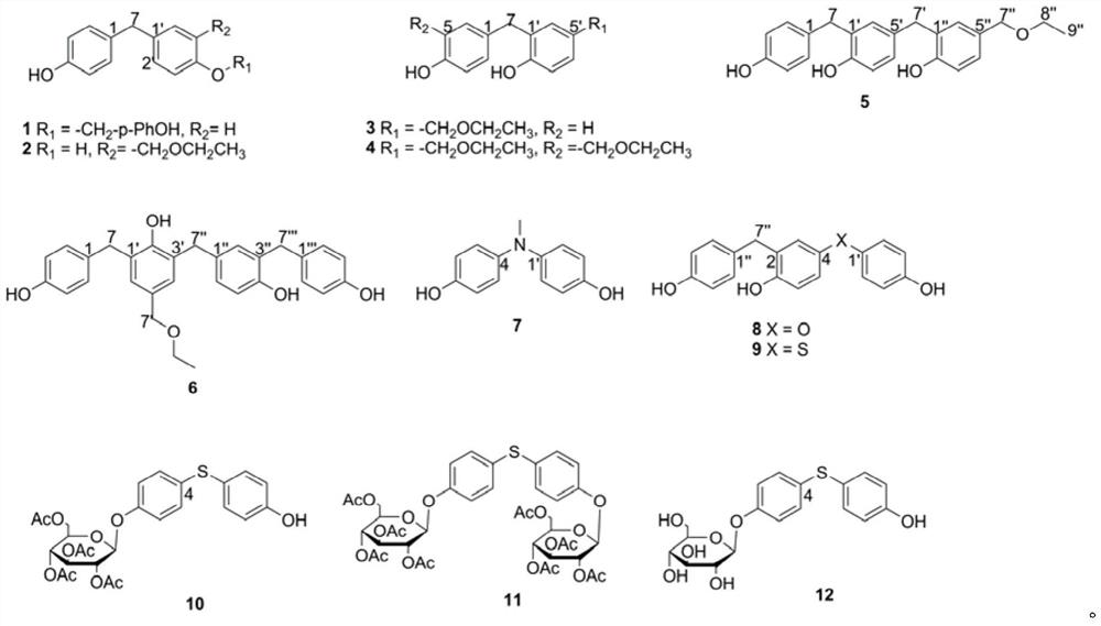 Polybenzyl derivative and its pharmaceutical composition, its preparation method and its application