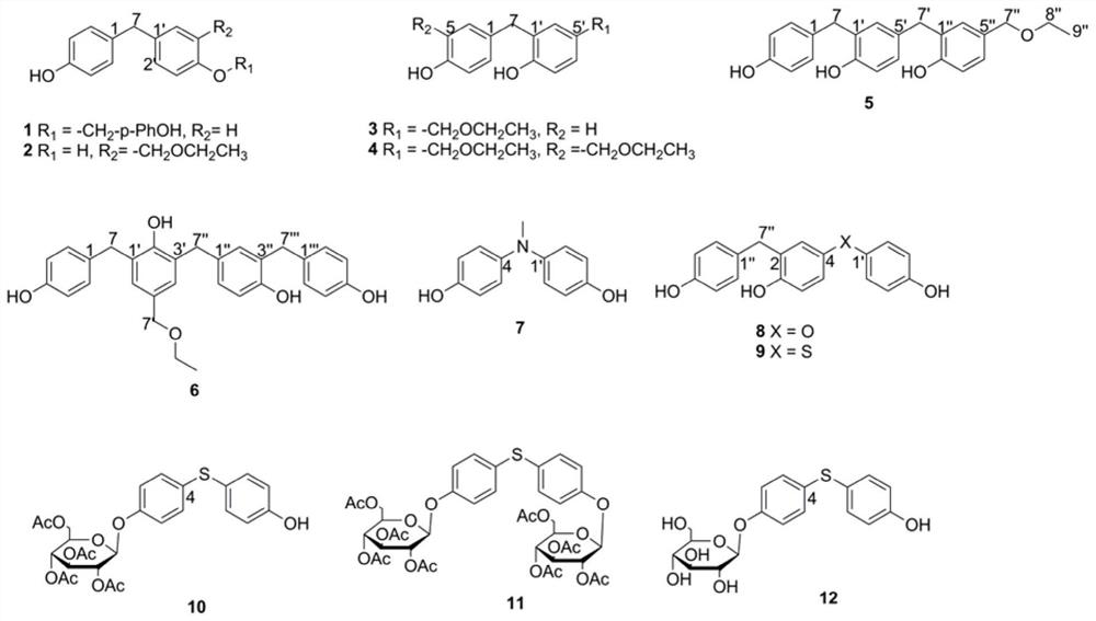 Polybenzyl derivative and its pharmaceutical composition, its preparation method and its application