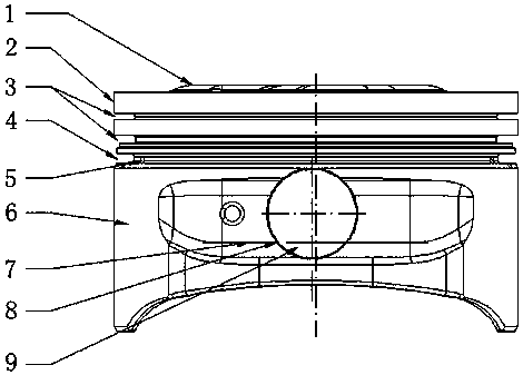 Piston of alcohol fuel internal combustion engine