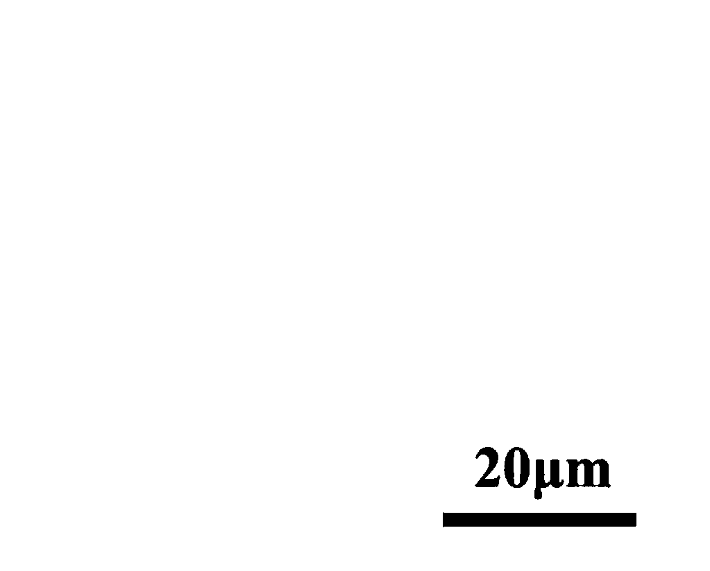 Method for low-cost preparation of large-size monocrystal graphene