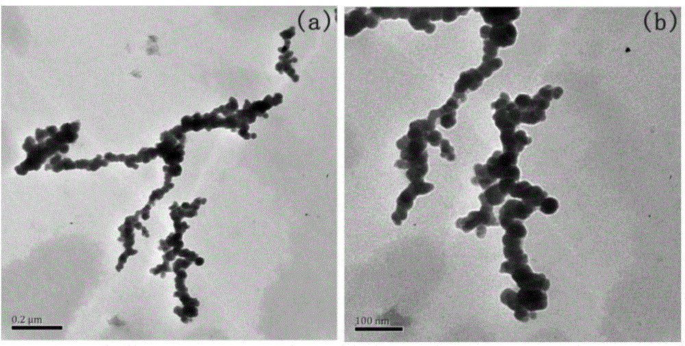 Cobalt-based amorphous nanometer wave-absorbing material and synthetic method of cobalt-based amorphous nanometer wave-absorbing material