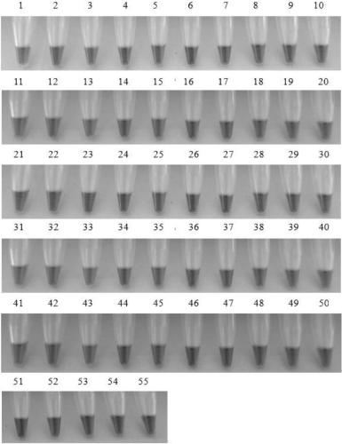 A loop-mediated isothermal amplification primer composition for detecting Fusarium fusarium and its application