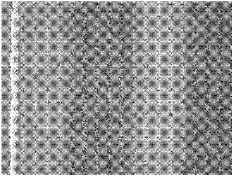 Low temperature co-fired ceramic material with high dielectric constant and preparation method thereof