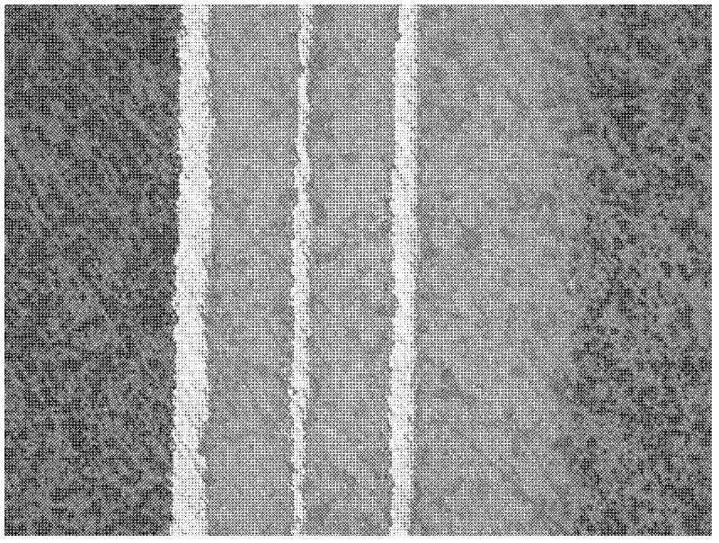 Low temperature co-fired ceramic material with high dielectric constant and preparation method thereof