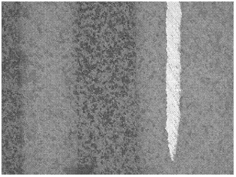 Low temperature co-fired ceramic material with high dielectric constant and preparation method thereof