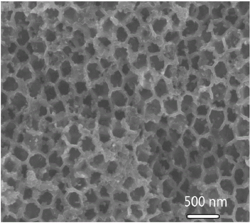 Application of cobalt oxide particles loaded three-dimensional, macroporous structured molybdenum dioxide material as anode electrocatalyst