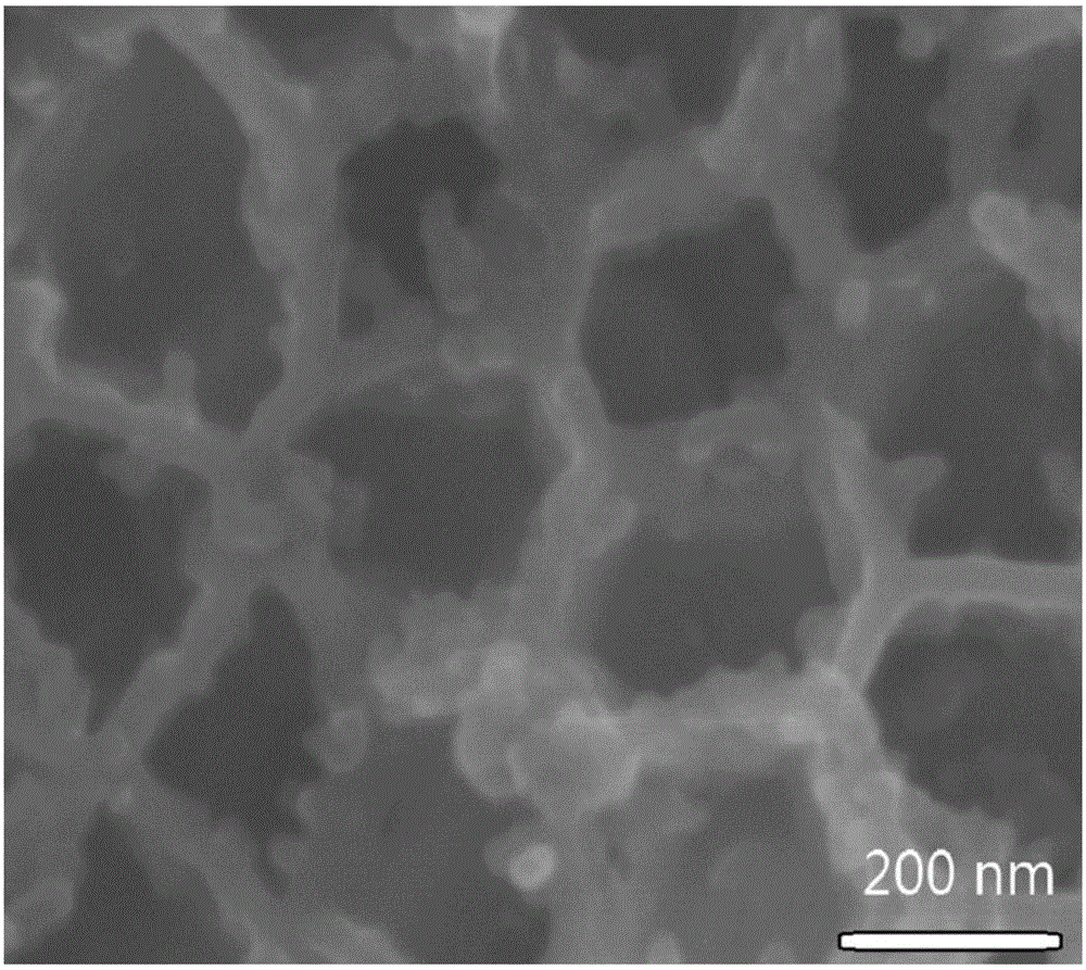 Application of cobalt oxide particles loaded three-dimensional, macroporous structured molybdenum dioxide material as anode electrocatalyst