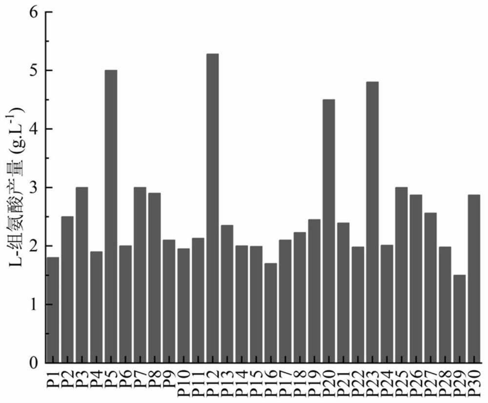 Method for increasing yield of L-histidine