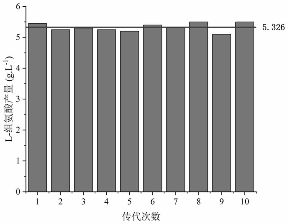 Method for increasing yield of L-histidine