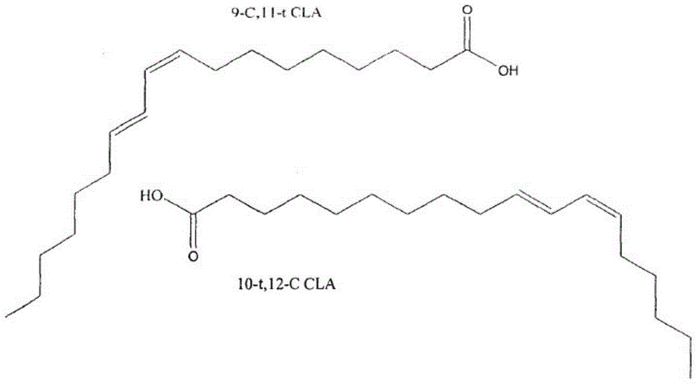 Conjugated linoleic acid and docosahexenoic acid microencapsulated powder, and preparation method and application thereof