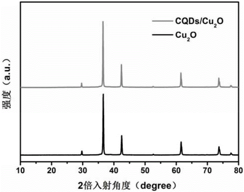 Preparation method and application of carbon quantum dot-cuprous oxide composite