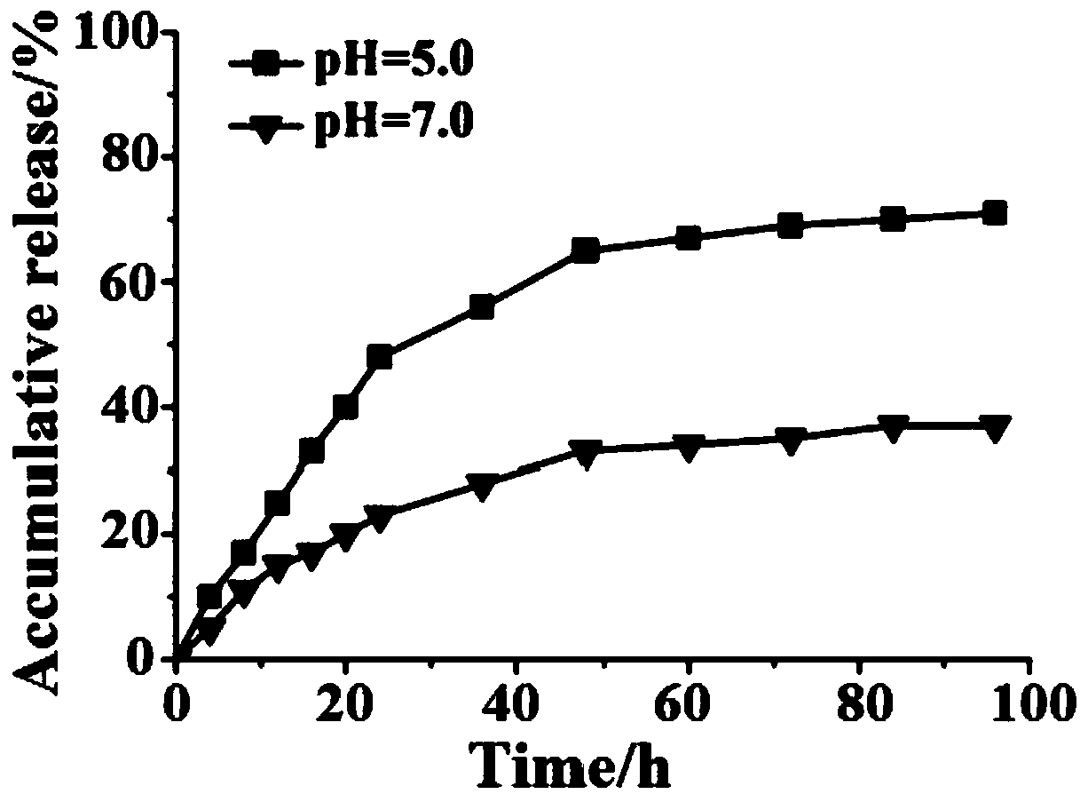 PH-responsive block copolymer, nano particle, preparation method and drug