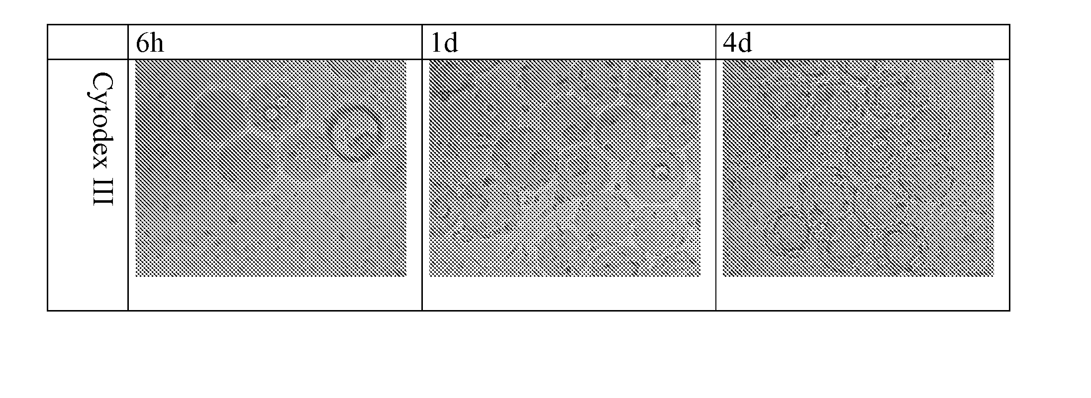 Method For Cell Culture
