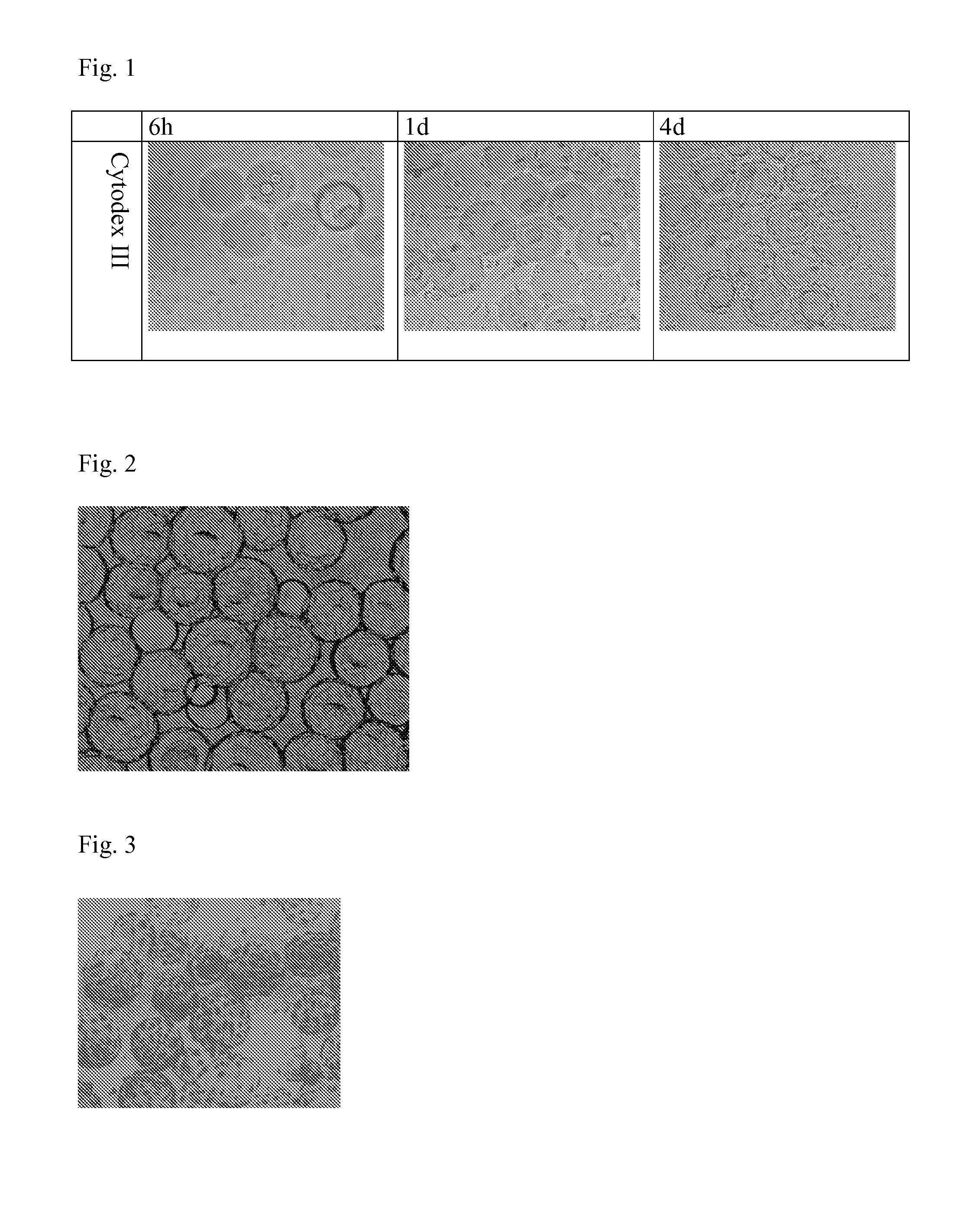 Method For Cell Culture