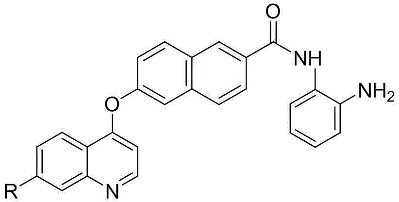 Naphthlamide derivative used as protein kinase inhibitor and histone deacetylase inhibitor and preparation method of naphthlamide derivative