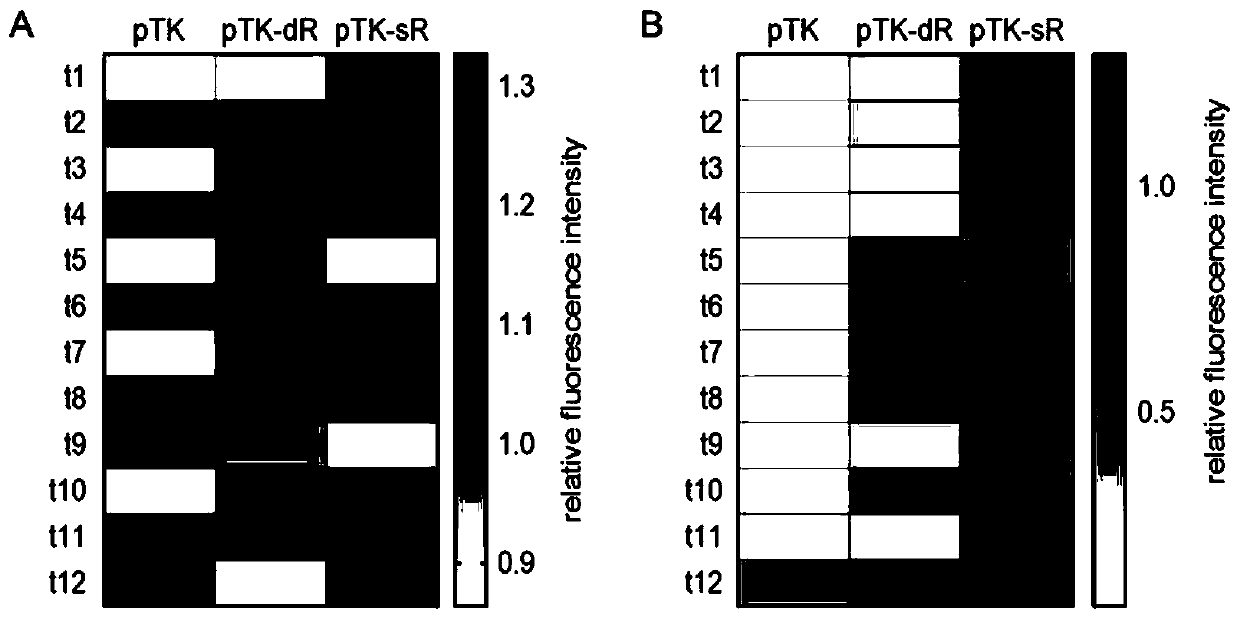 Plasmid system for comprehensively representing strength of escherichia coli terminator and method