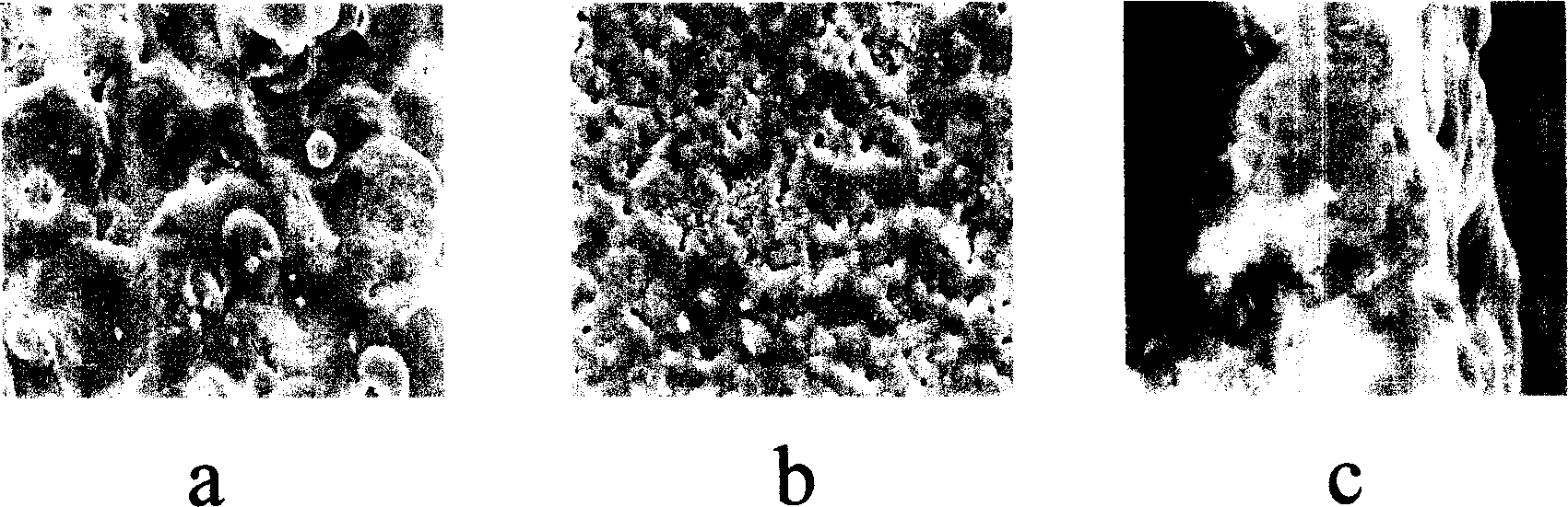 Method for ceramic treatment of metal surface
