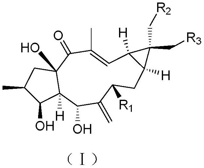 Transformation method of hydroxylated capers diterpenoid derivatives and its use in the preparation of antitumor drugs