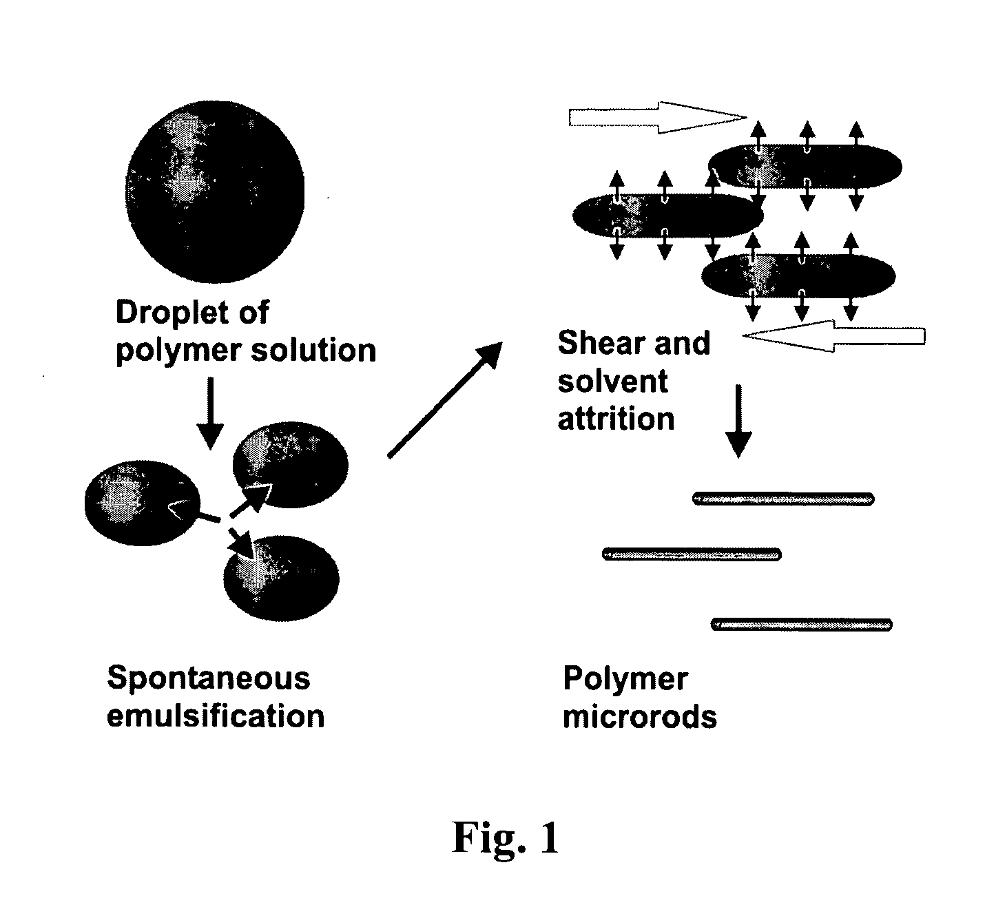 Process for preparing microrods using liquid-liquid dispersion