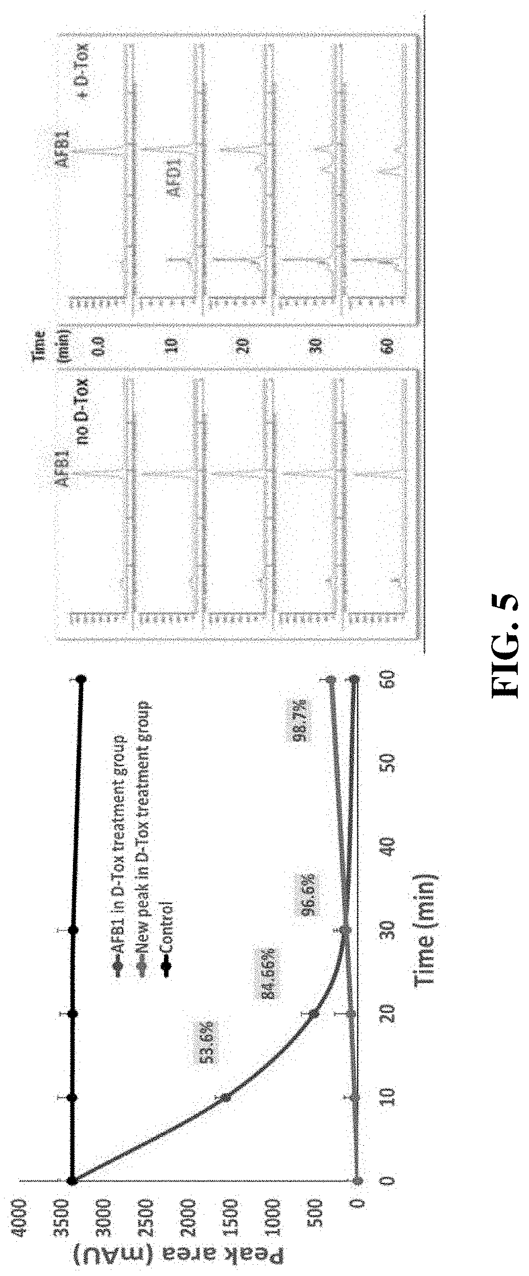 Composition for degradation of aflatoxin comprising aspergillus culture filtrate as effective component and uses thereof