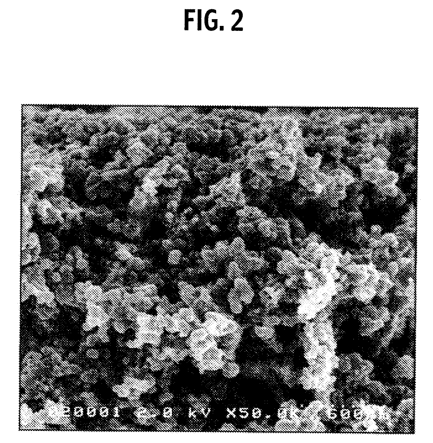 Gas Diffusion Electrode and Solid Polymer Electrolyte Fuel Cell