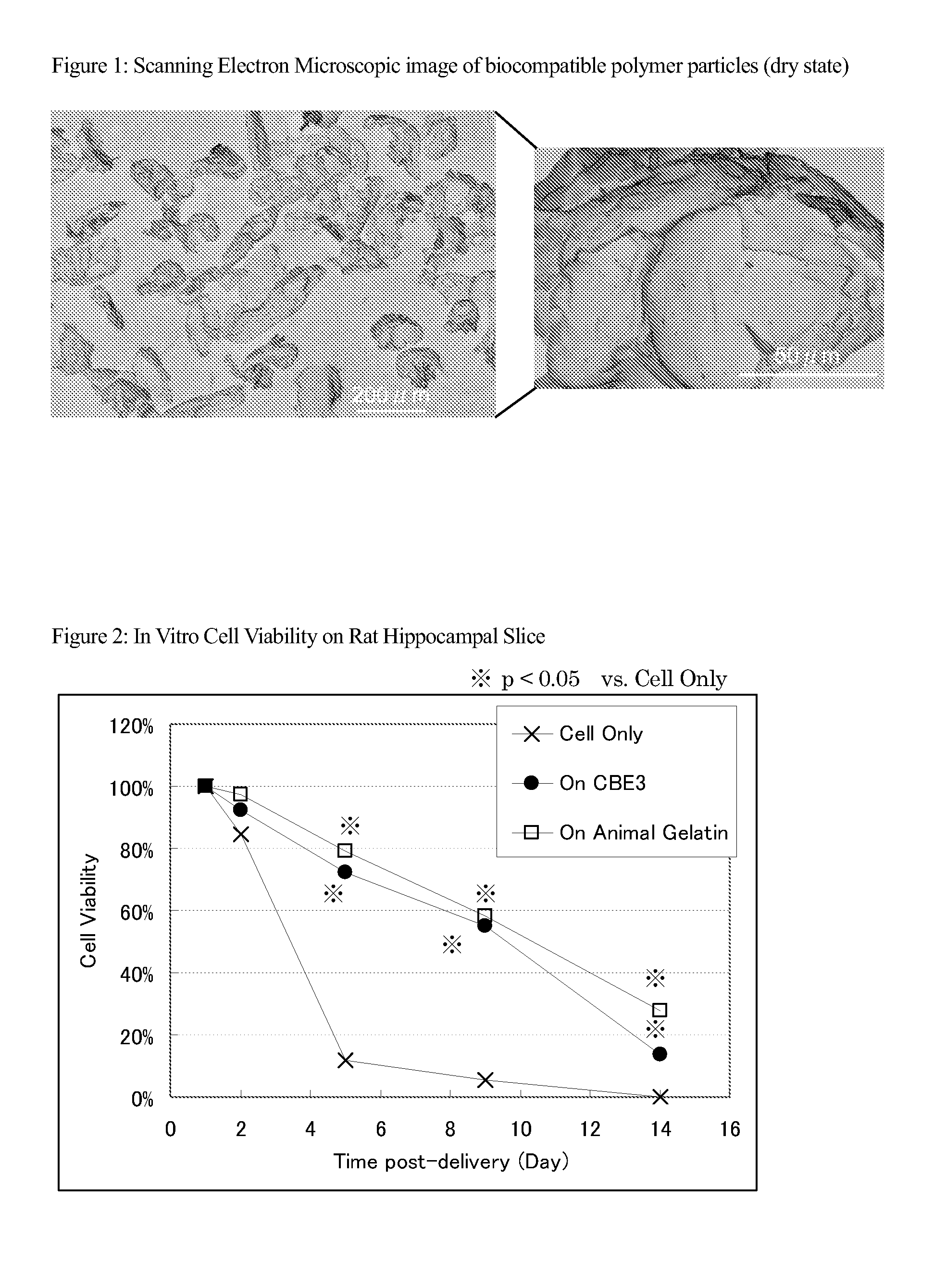 Composition comprising cell and biocompatible polymer