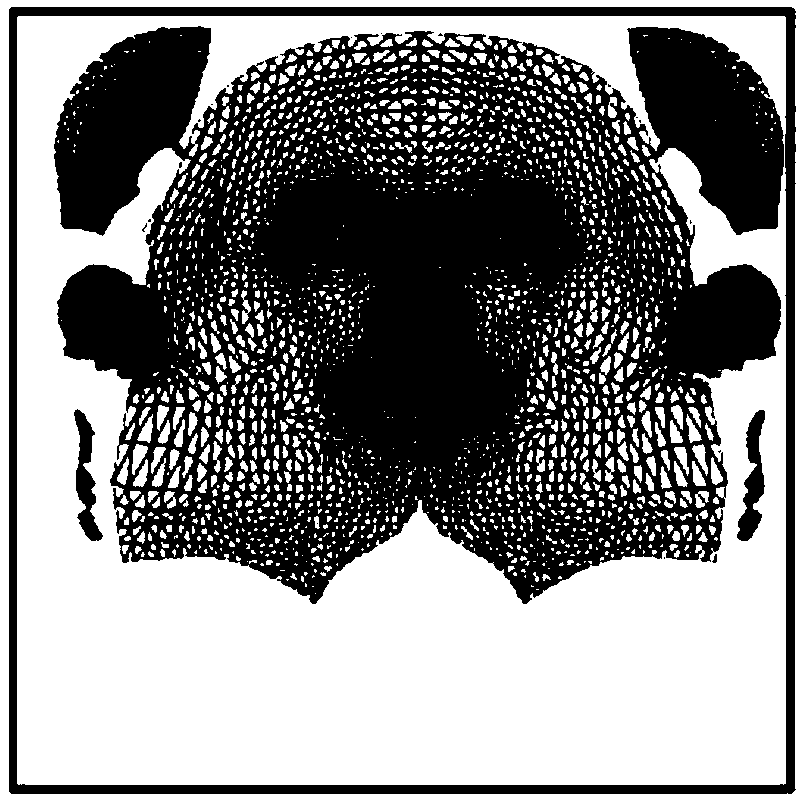 An irregular three-dimensional face mesh texture method based on template face approximation