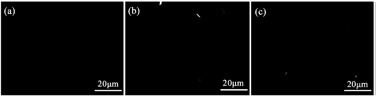 Method for preparing sulfur-doped molybdenum dioxide nanosheets with adjustable shapes and band gaps