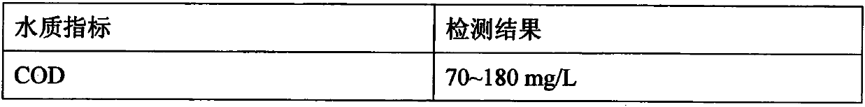 Organic wastewater biochemical effluent ozone advanced treatment device and treatment method