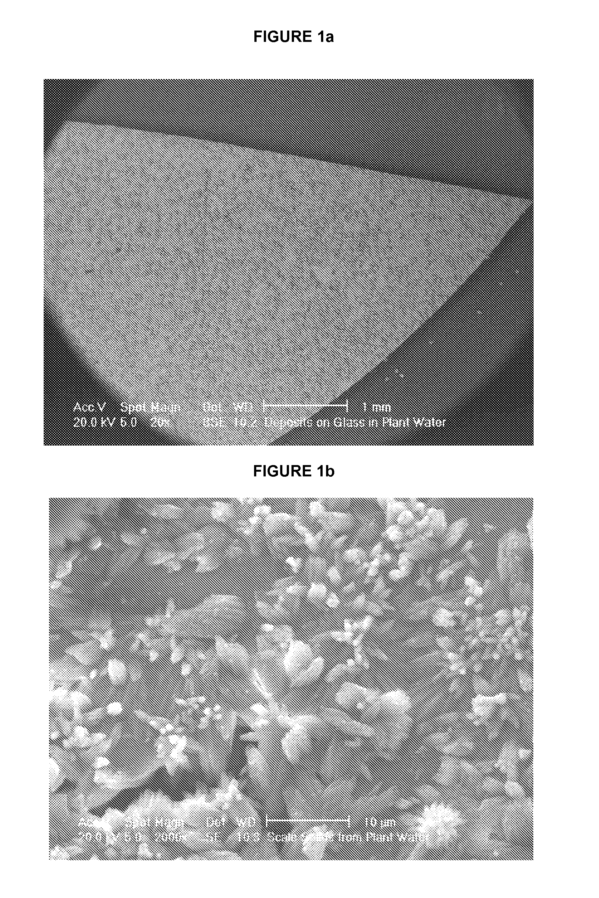 Methods for prevention and reduction of scale formation