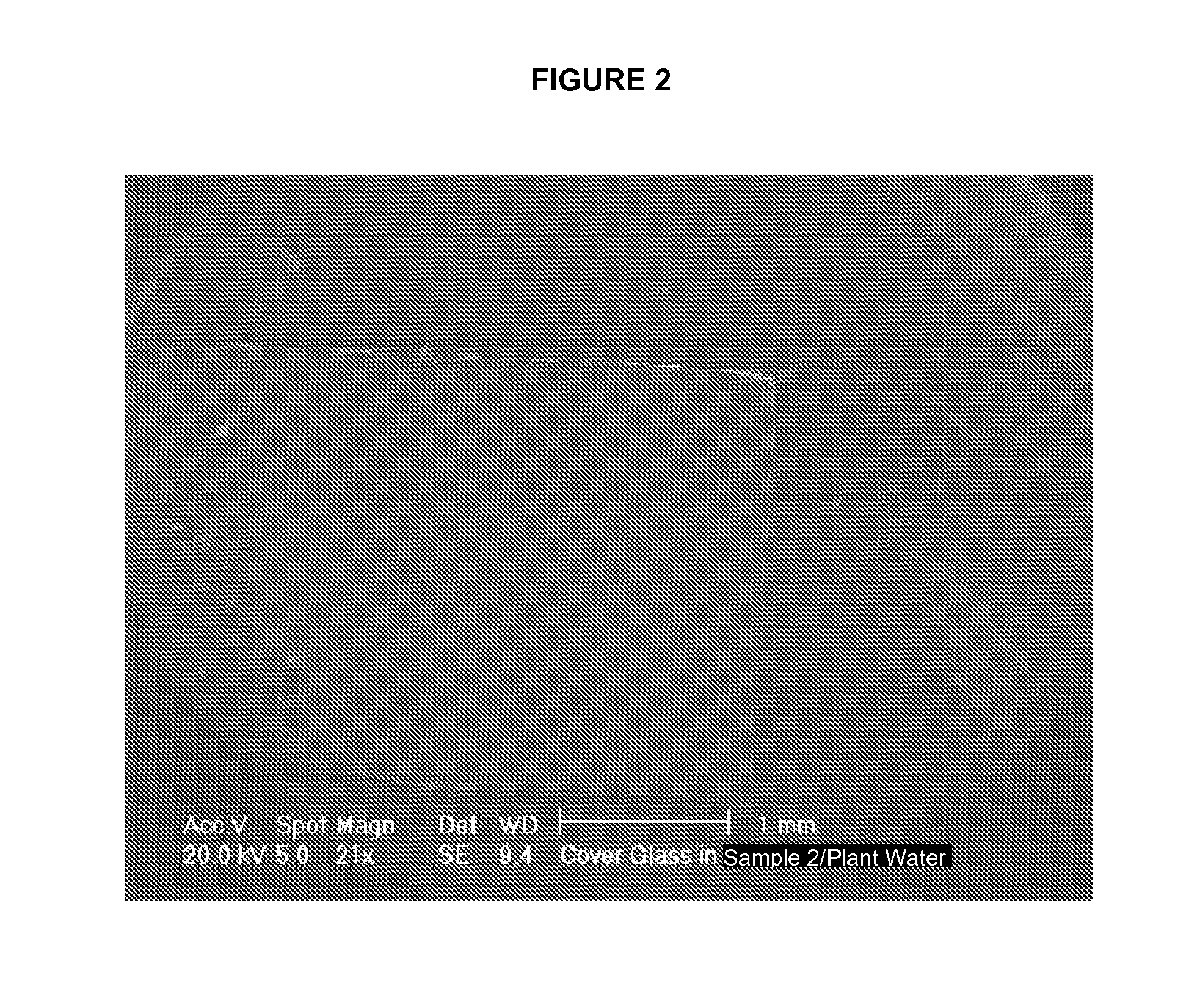 Methods for prevention and reduction of scale formation