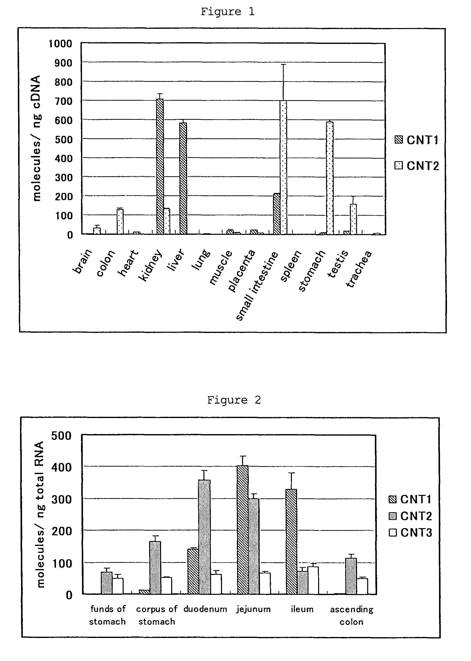 Purine nucleoside derivative modified in 8-position and medical use thereof