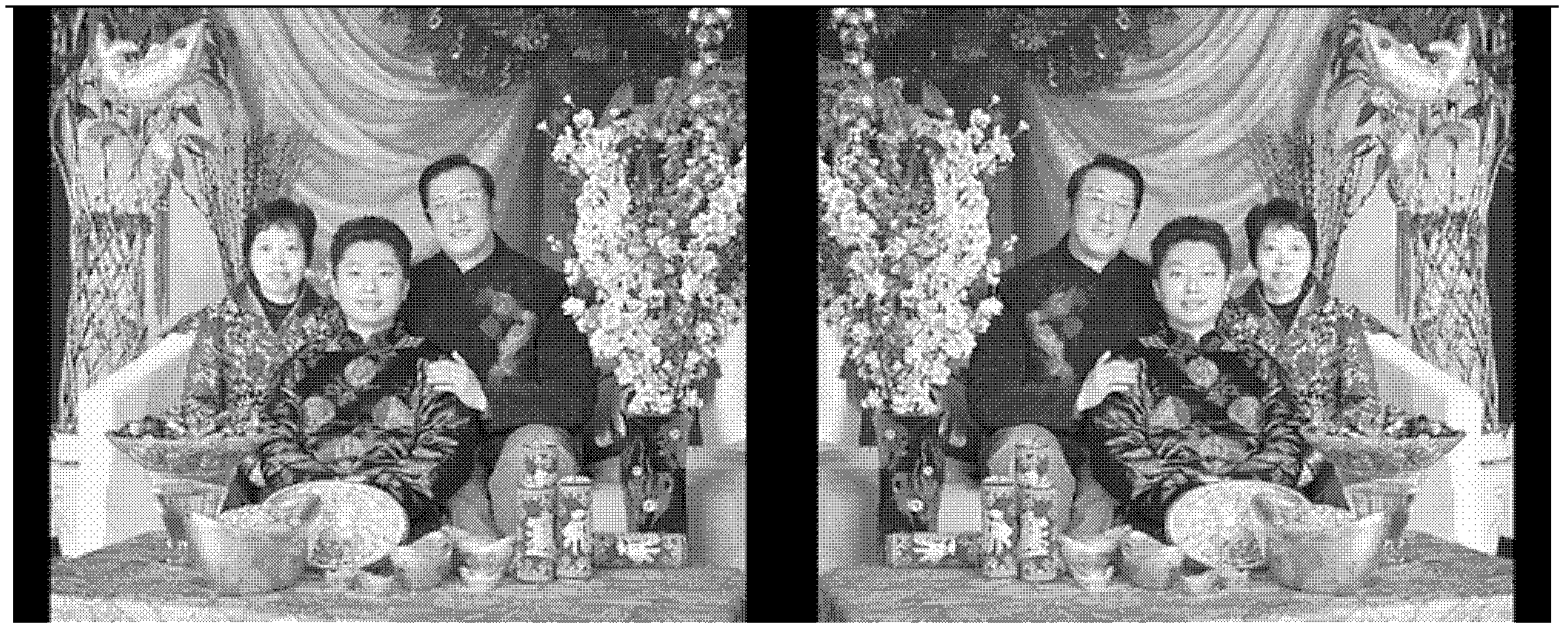 Method for measuring brightness range influencing comfort degree of stereoscopic image