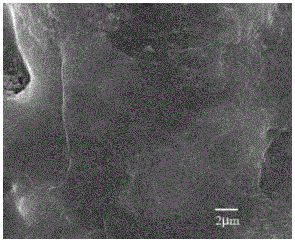 Composition for 3D printed cartilage bracket, microsphere and preparation method of composition