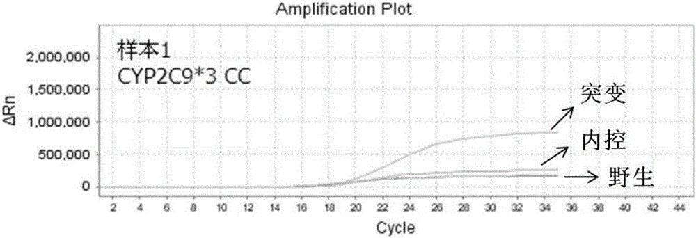 Primer, probe and kit for detecting gene polymorphism of CYP2C9 and VKORC1