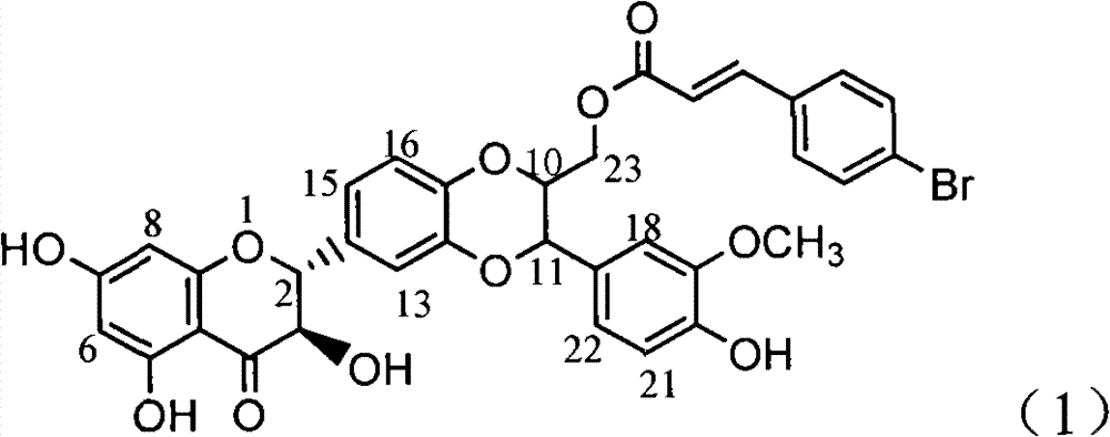 Pharmaceutical application of p-bromocinnamoyl silybin to preparing glycosidase inhibitors