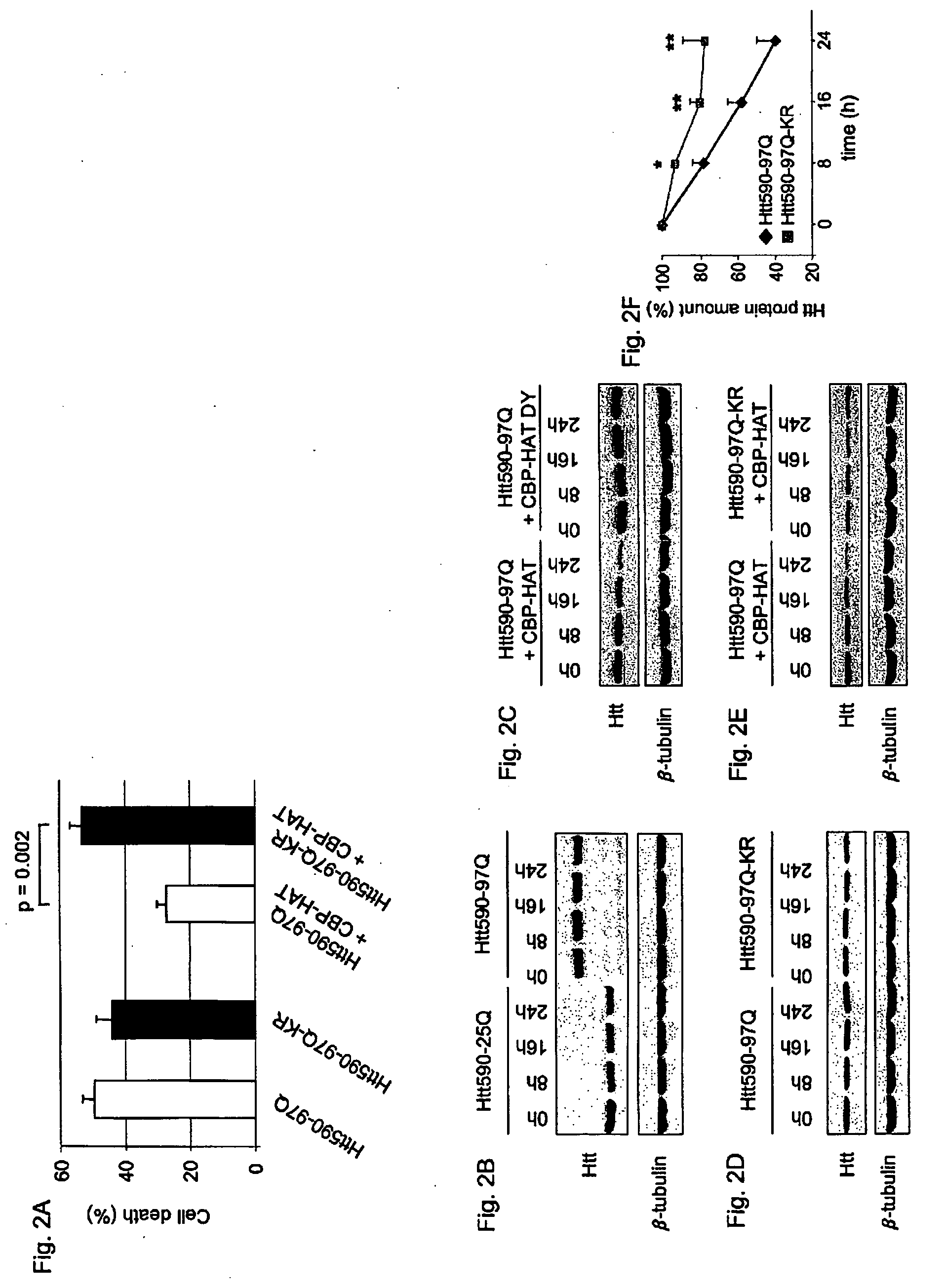 Anti-acetylated huntingtin antibodies and uses therof