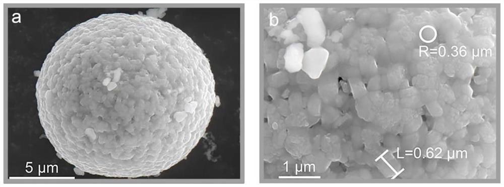 Lithium niobate coated and niobium doped coupled modified high-nickel ternary positive electrode material as well as preparation method and application of lithium niobate coated and niobium doped coupled modified high-nickel ternary positive electrode material