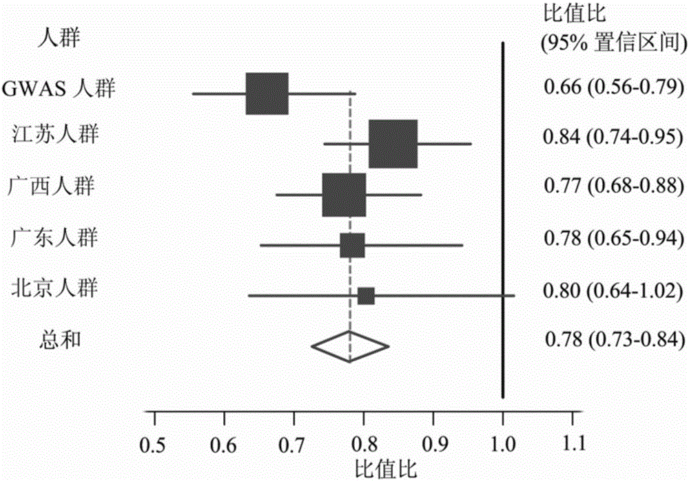 Use of INTS10 gene/protein in inhibiting HBV gene duplication or preventing or treating HBV associated diseases