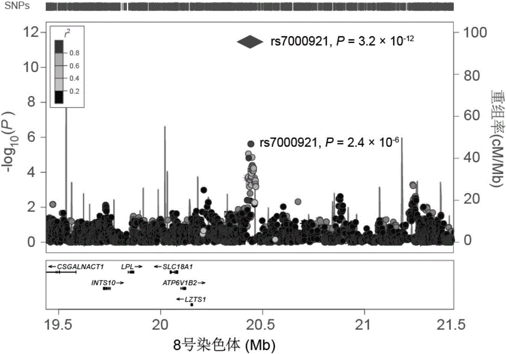 Use of INTS10 gene/protein in inhibiting HBV gene duplication or preventing or treating HBV associated diseases