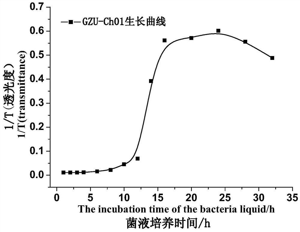 A kind of Chryseobacterium bacterial strain and application thereof