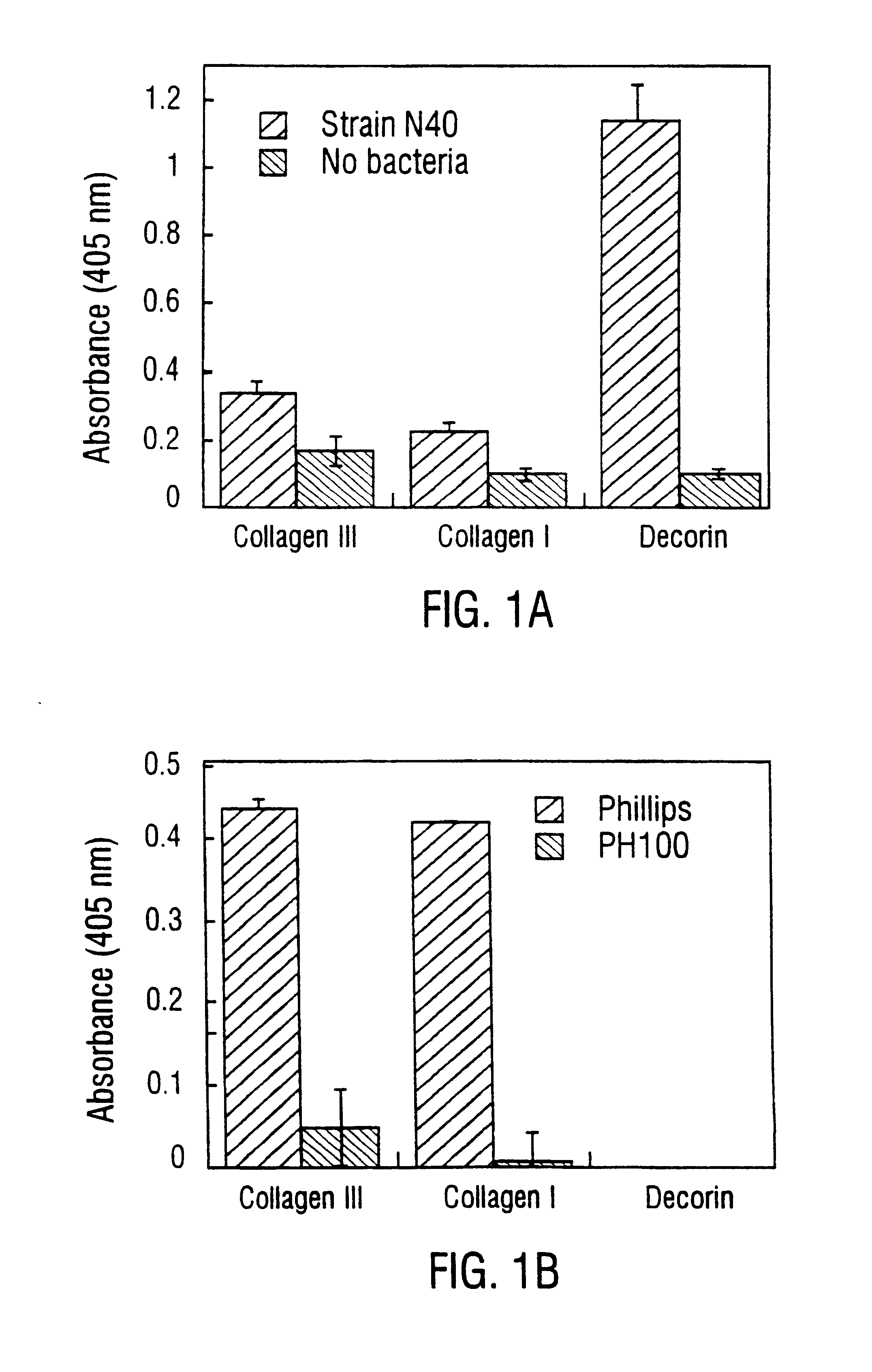 Decorin binding protein compositions and methods of use