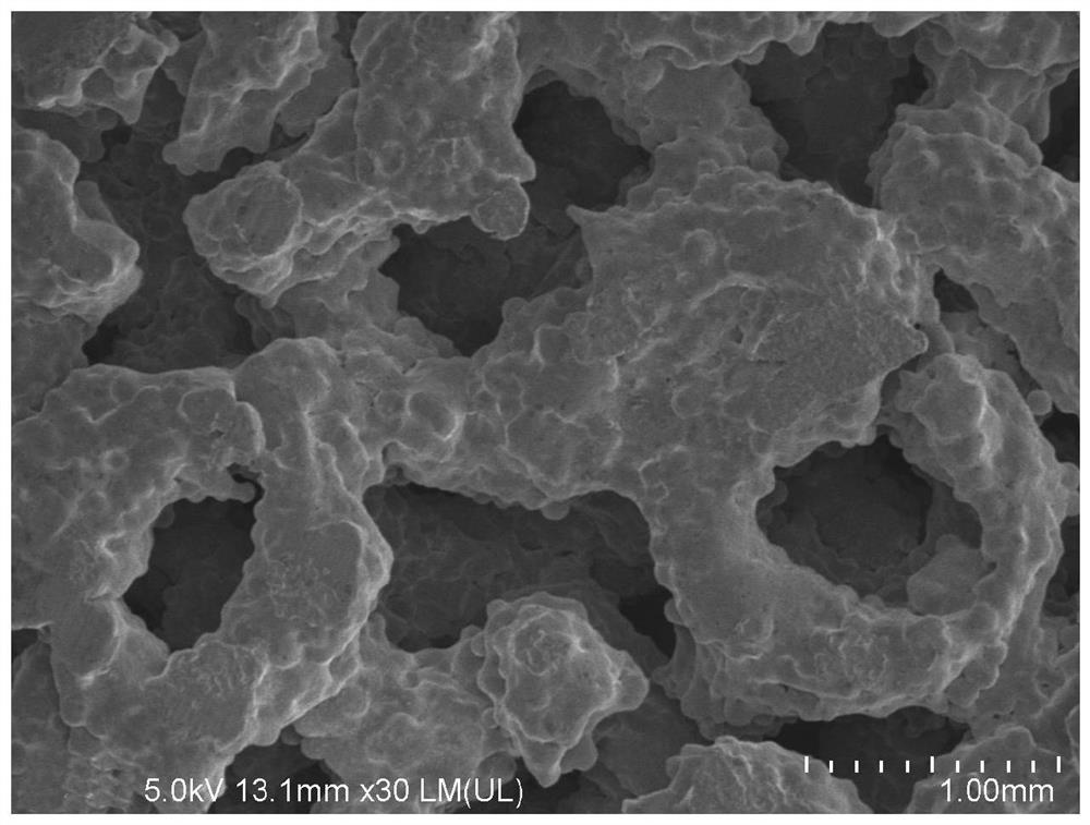 Preparation method and application of porous titanium alloy material modified by plasma spraying composite coating