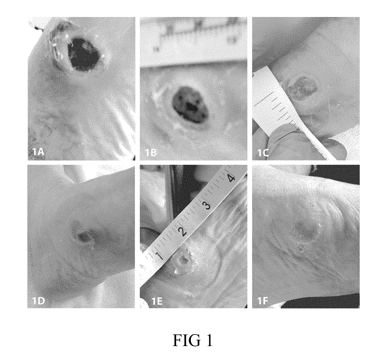 Wound Healing Composition Involving Mineral Ions and Methylglyoxal, and Methods of Use