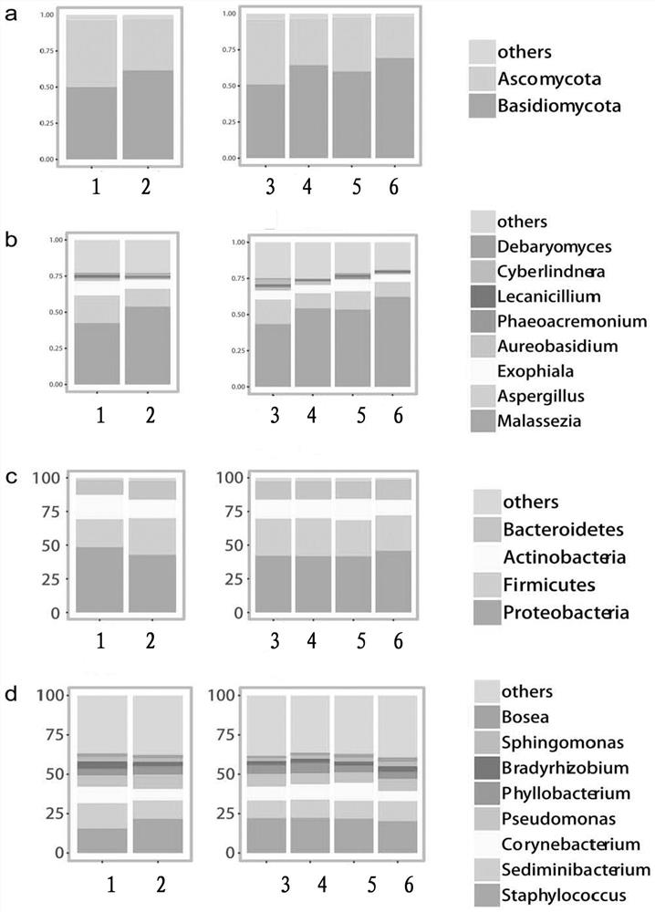 Application of thymosin [beta]4 in preparation of microecological balance regulator